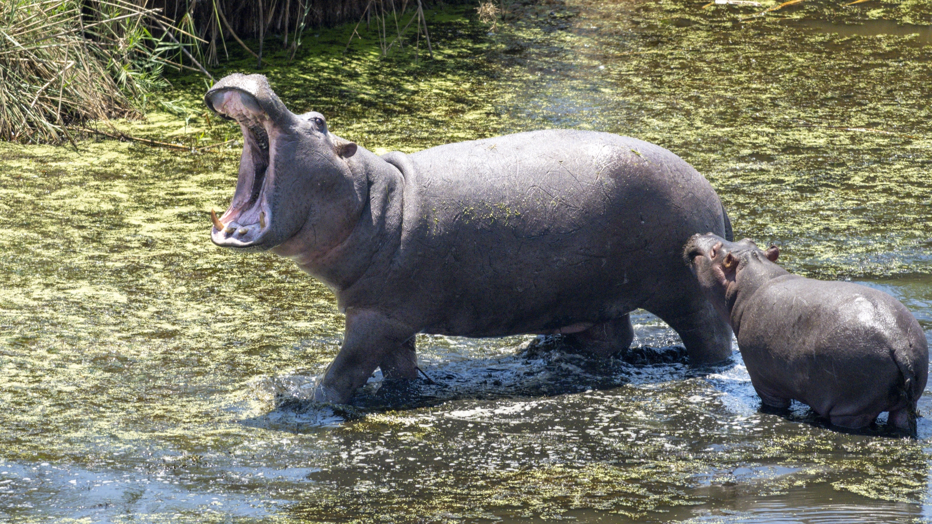 Kruger25 2025 11 01 10 51 59 ILCE 1M2 2807